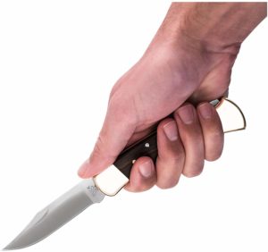 Iowa State Pocket Knife Laws