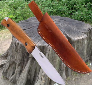tree stump and knife