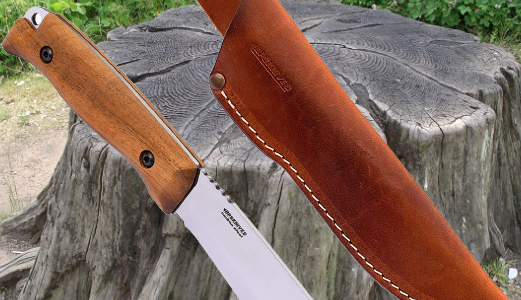 tree stump and knife